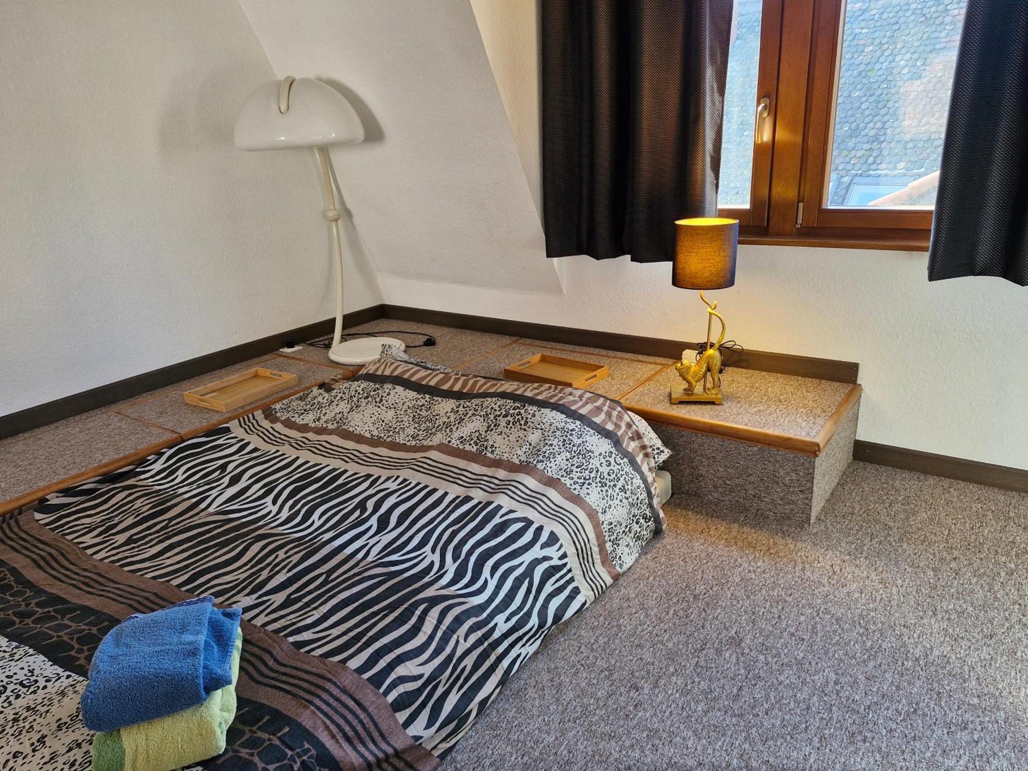 Face A La Cathedrale Apartman Strasbourg Kültér fotó